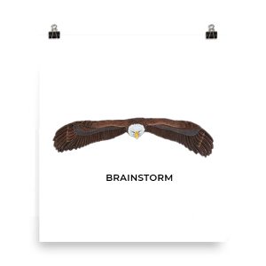 Eagle wings spread with the word 'BRAINSTORM' beneath.