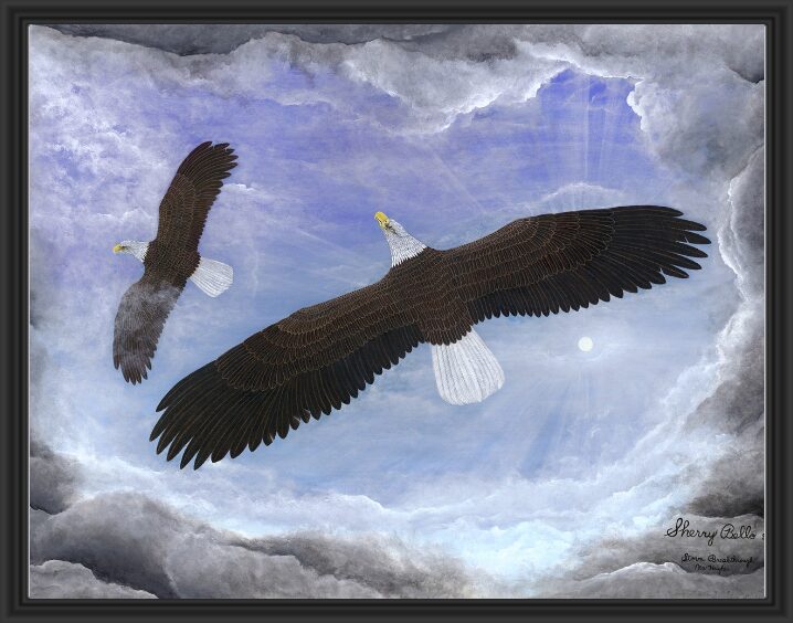 Two eagles soaring in a dramatic cloudy sky.