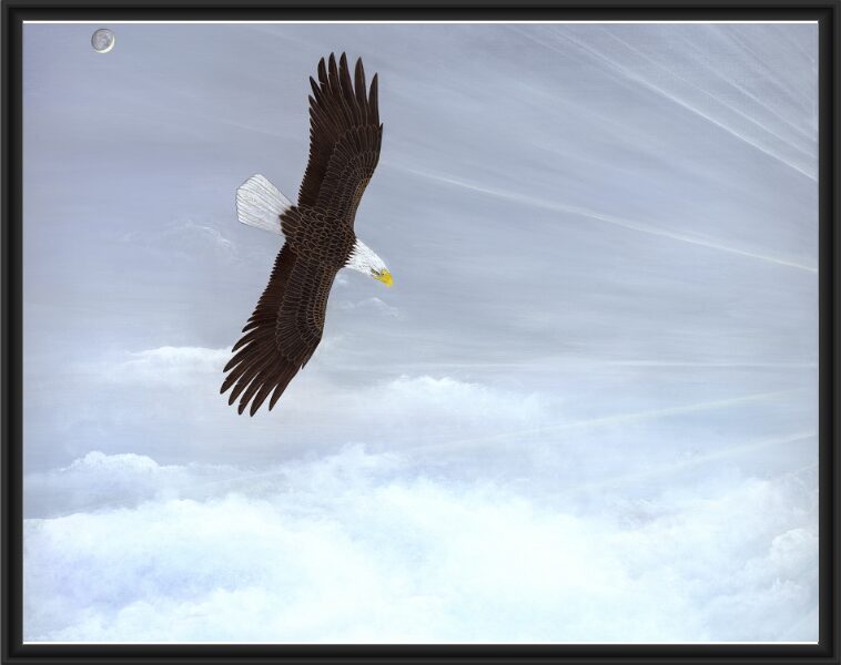 A bald eagle soaring high above the clouds with wings spread wide.