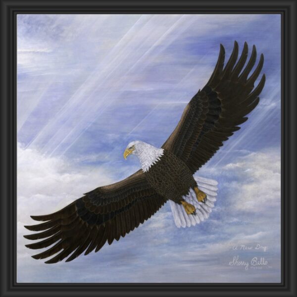 A majestic bald eagle soaring with wings fully spread against a blue sky.