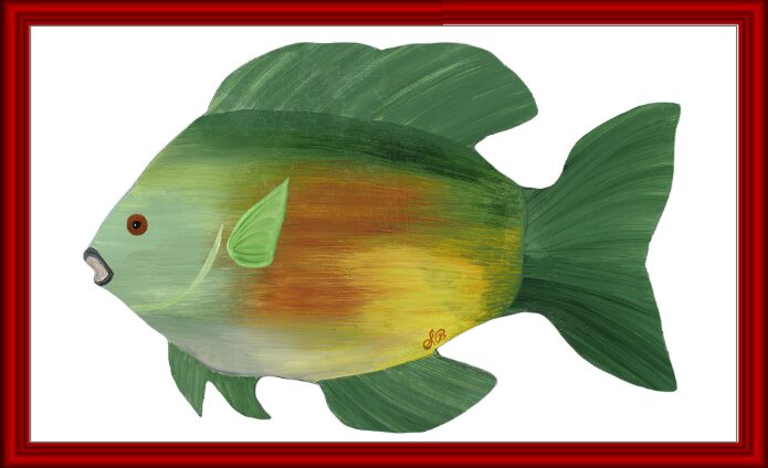 A colorful fish with green and orange hues against a white background.