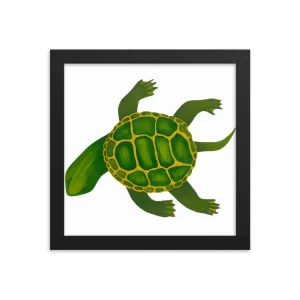 Illustration of a green turtle with a detailed shell in a black frame.