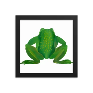 Green frog perched facing away against a white background.