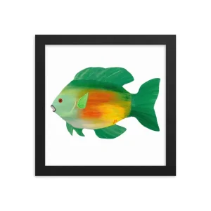Colorful fish illustration framed in black.