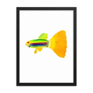 Colorful guppy fish illustration with vibrant tail and body.
