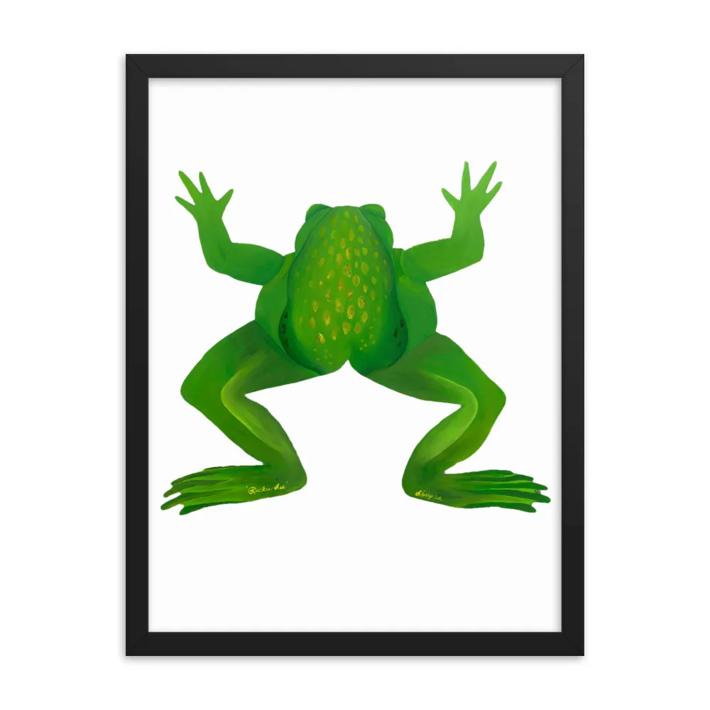 Framed illustration of a green frog from above.
