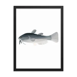 Minimalist illustration of a catfish in a black frame.