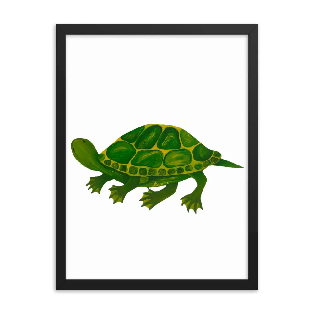 Illustration of a green turtle with detailed shell pattern.