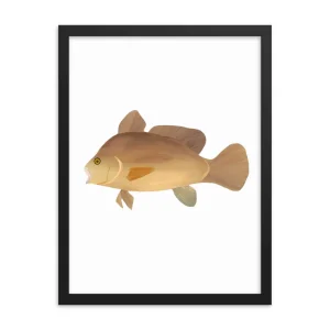 Minimalist illustration of a brown fish in a black frame.