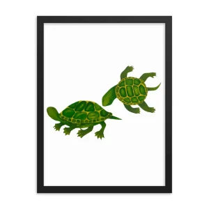 Two green turtles swimming, illustrated in a simple style.