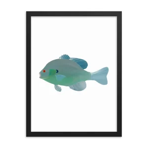Illustration of a blue-green fish with red eyes, framed in black.