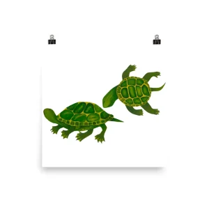 Two green turtles with leafy patterns on a white background.