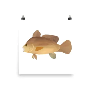 Illustration of a brown fish with fins and a tail.