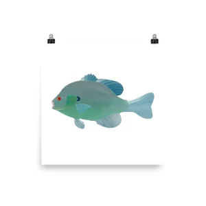 Illustration of a teal-colored fish with a simple design on a white background.