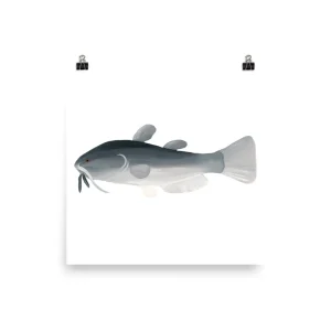 Illustration of a catfish with detailed features on a white background.