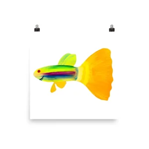 Bright yellow guppy fish with green and black stripes on a white background.