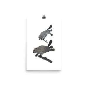 Two rabbits jumping over a shadow of a dog on white background.