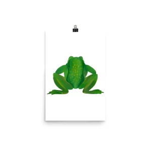 Illustration of a green frog sitting with a fly above it.