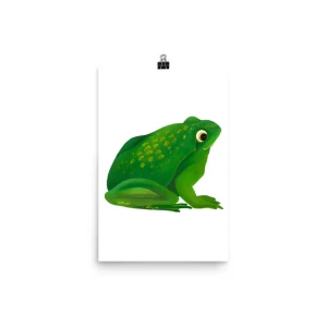 Illustration of a green frog sitting on a white background.