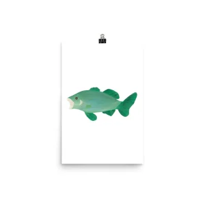 Illustration of a green fish on a white background.