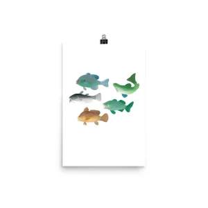 Illustration of various freshwater fish species on a white background.