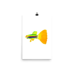 Colorful fish illustration with a yellow tail on white background.