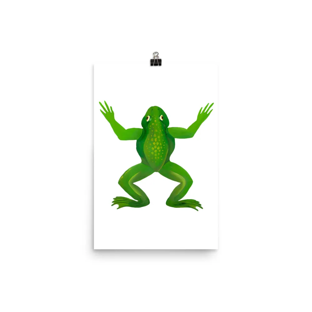 A green frog with outstretched limbs on a white background.