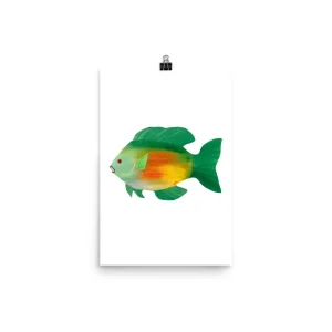 Colorful fish illustration on white background.