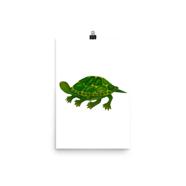 Art print of a green turtle on white background.