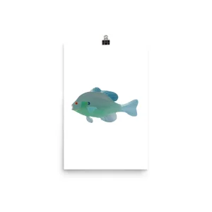 Illustration of a blue-green fish on a white background.