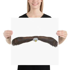 Person holding a poster of a bald eagle with wings spread wide.