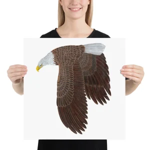Woman holding a poster of a soaring bald eagle.