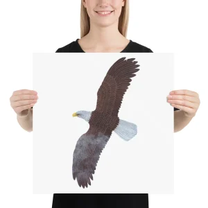 A person holding a large print of a flying bald eagle illustration.
