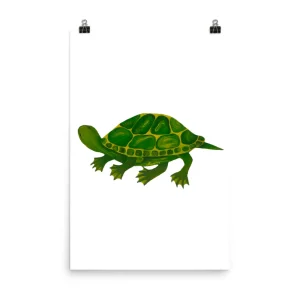 Illustration of a green turtle on a white background.