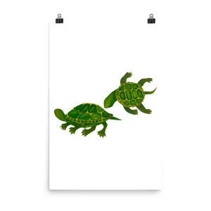 Illustration of two green sea turtles swimming.