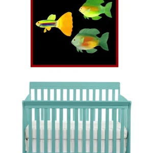Colorful fish wall decals above a teal baby crib.