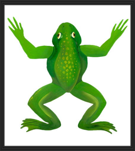Illustration of a green frog with outstretched limbs.