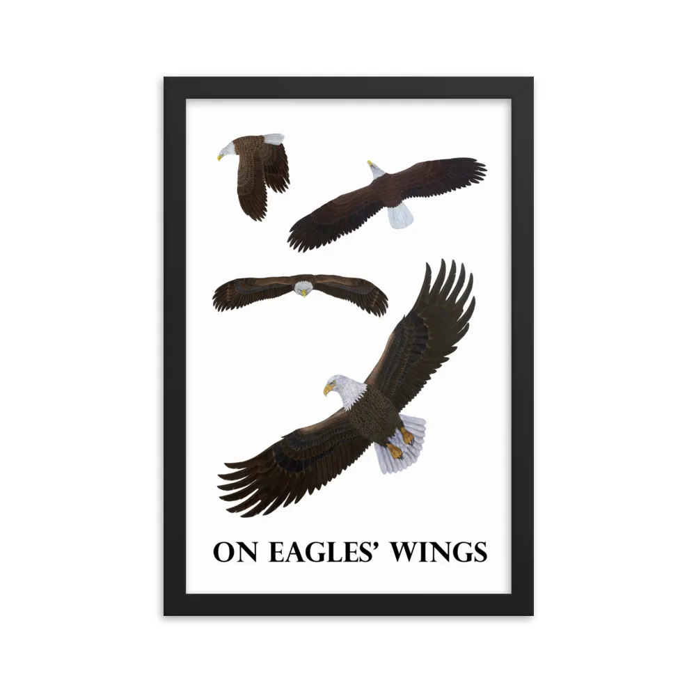 Four eagles in flight with the text 'ON EAGLES' WINGS'.