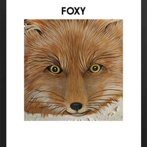 Close-up illustration of a fox's face with the word 'FOXY' above.