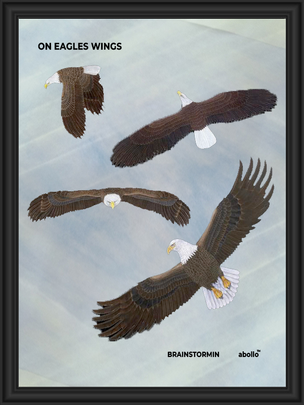 Four birds of prey soaring in a clear sky.