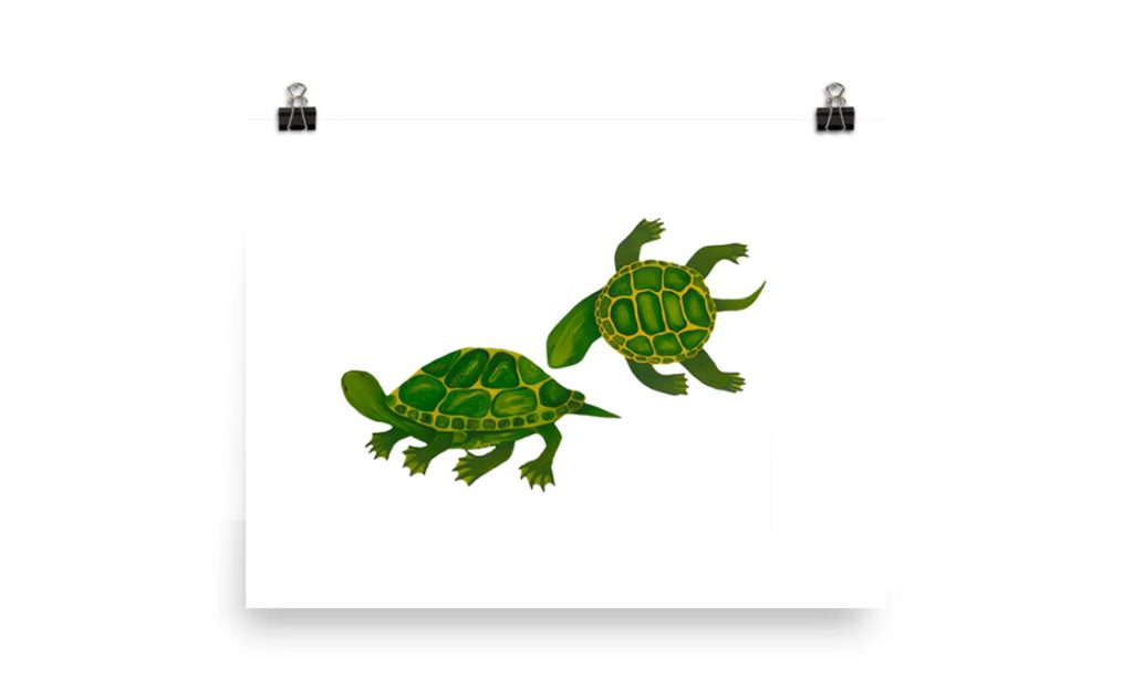 Two green turtles with detailed shell patterns on a white background.