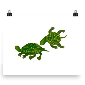 Two green turtles with detailed shell patterns on a white background.