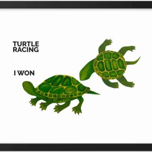 Two turtles racing with the caption 'Turtle Racing I Won'.