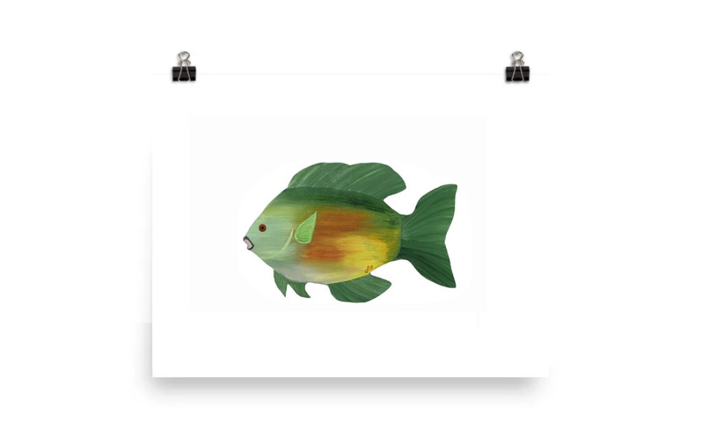 Colorful green and orange fish illustration with a white background.