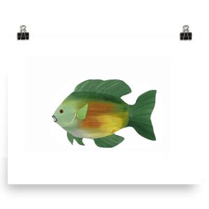 Colorful green and orange fish illustration with a white background.