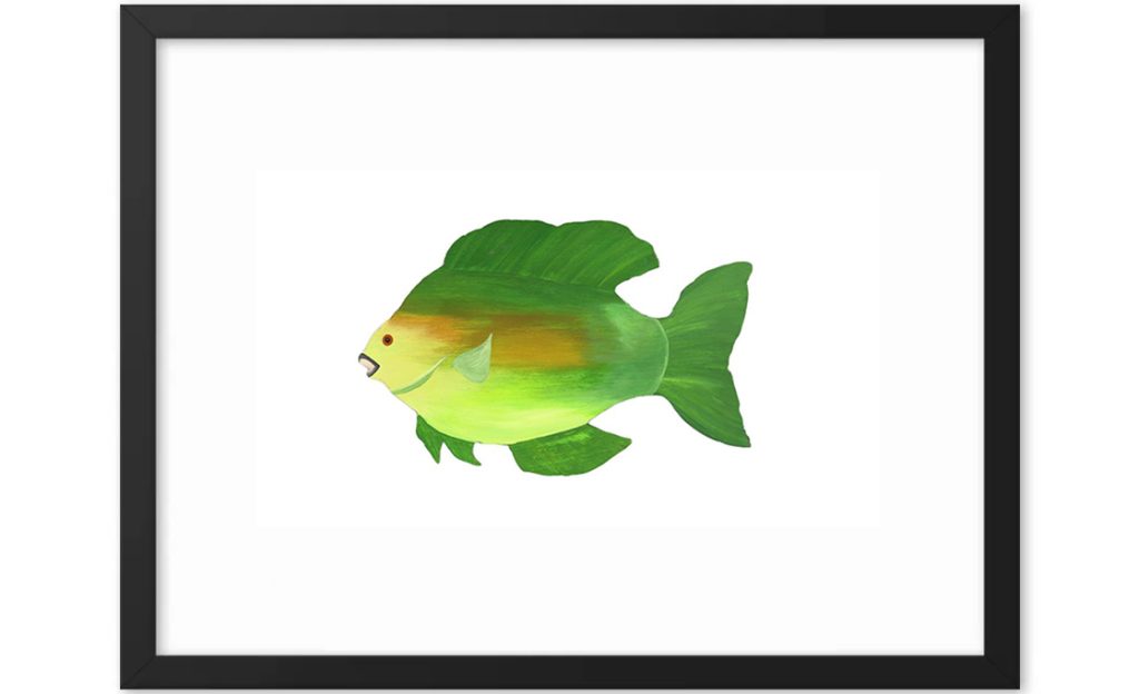 Illustration of a green and yellow fish with a white background.