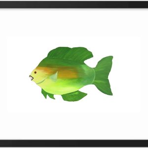 Illustration of a green and yellow fish with a white background.