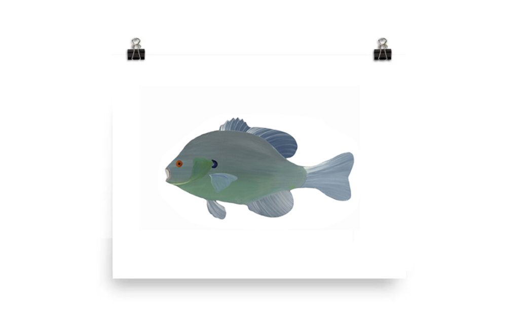 Close-up of a green fish with a blue dorsal fin.