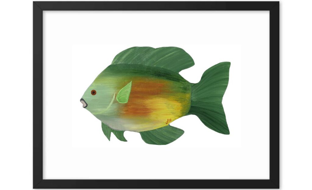 A colorful fish illustration with green, yellow, and orange hues.