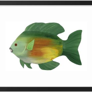 A colorful fish illustration with green, yellow, and orange hues.